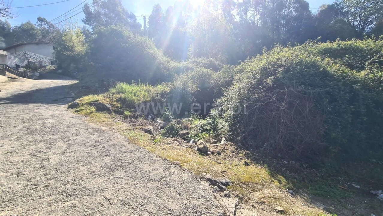 Terreno para Venda em Sousela Foto 4