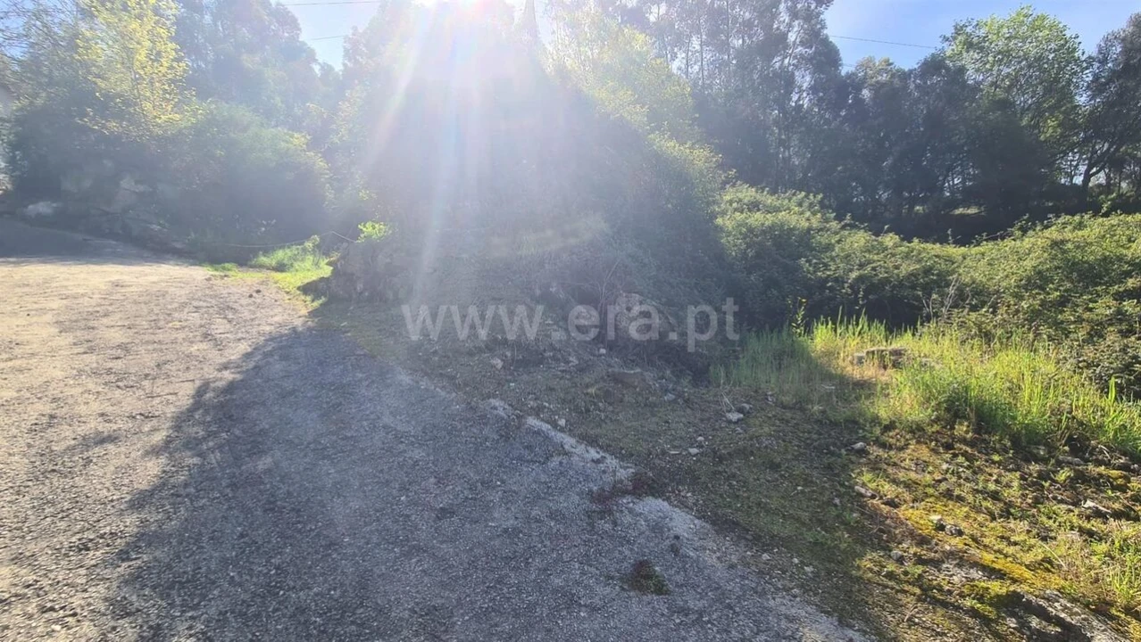 Terreno para Venda em Sousela Foto 6