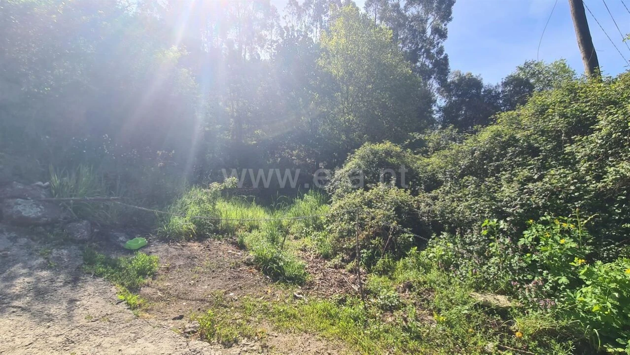Terreno para Venda em Sousela Foto 9