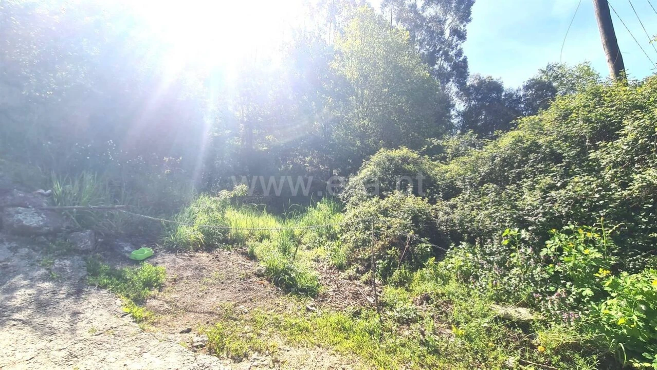 Terreno para Venda em Sousela Foto 2