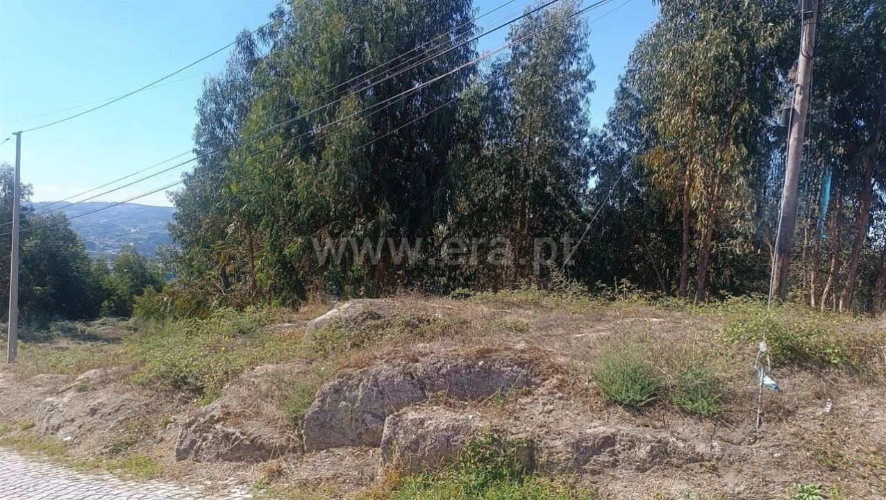 Terreno para Venda em Vila Caiz Foto 2