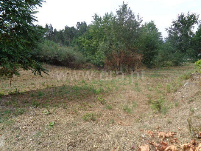 Terreno para Venda em Banho e Carvalhosa Foto 6