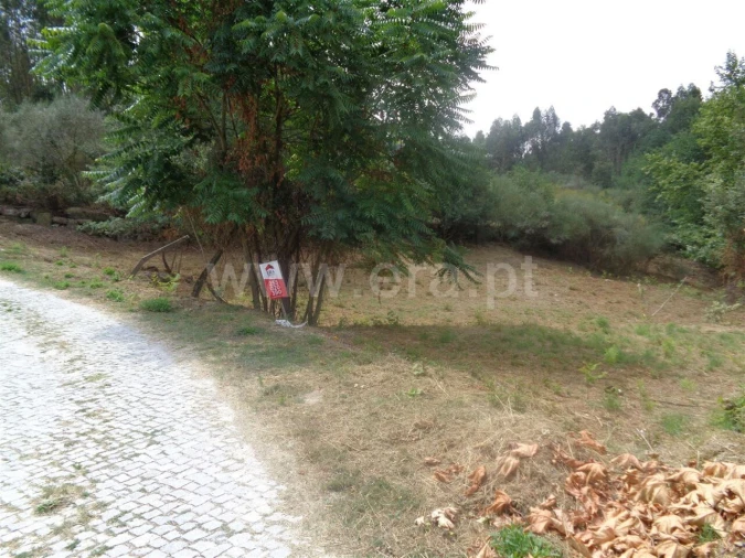 Terreno para Venda em Banho e Carvalhosa