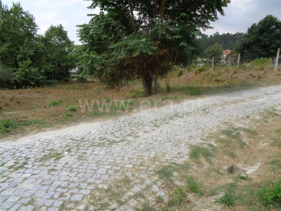 Terreno para Venda em Banho e Carvalhosa Foto 3
