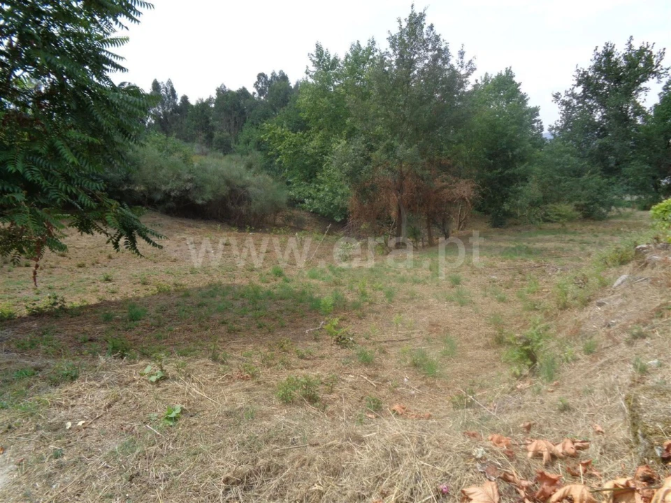 Terreno para Venda em Banho e Carvalhosa Foto 6