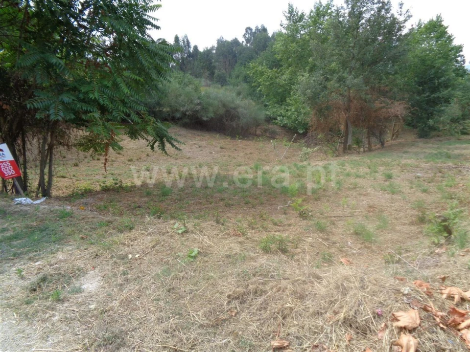 Terreno para Venda em Banho e Carvalhosa Foto 5