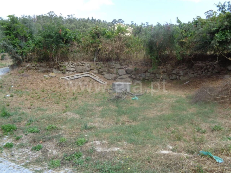 Terreno para Venda em Banho e Carvalhosa Foto 2
