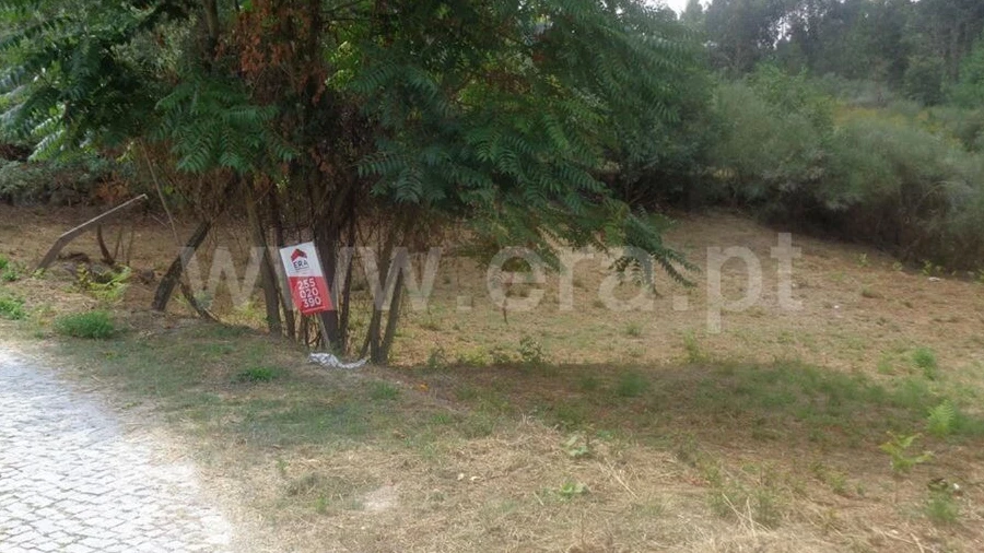 Terreno para Venda em Banho e Carvalhosa