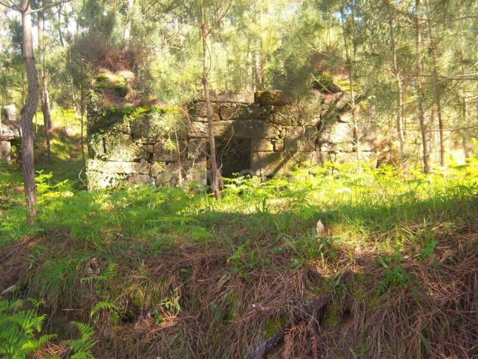 Terreno para Venda em Sande e São Lourenço Foto 5