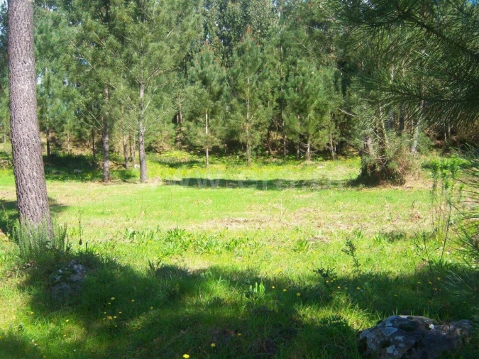 Terreno para Venda em Sande e São Lourenço Foto 1