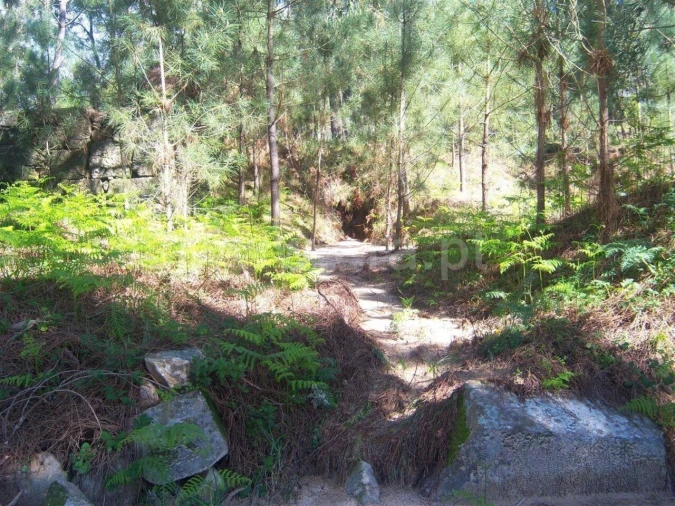 Terreno para Venda em Sande e São Lourenço Foto 6