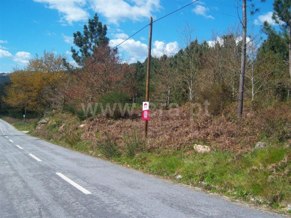 Terreno para Venda em Sande e São Lourenço Foto 2