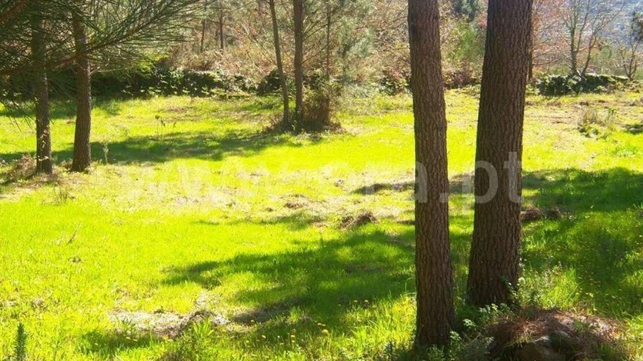 Terreno para Venda em Sande e São Lourenço