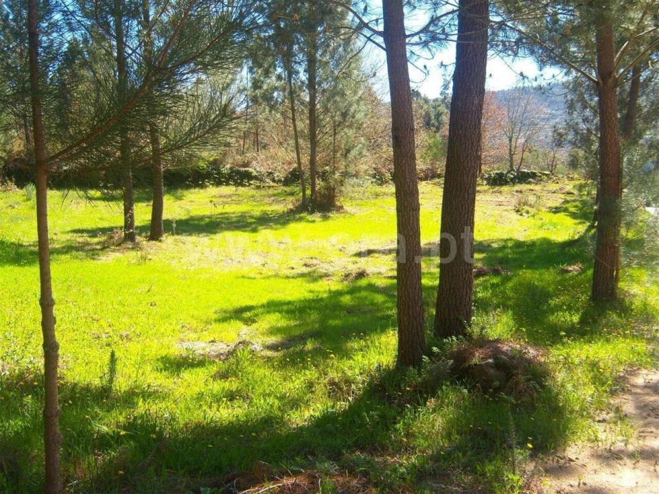 Terreno para Venda em Sande e São Lourenço Foto 3