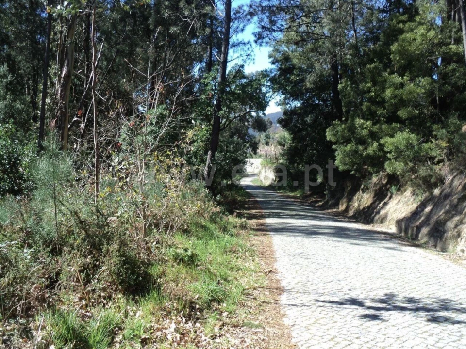 Terreno para Venda em Sande e São Lourenço Foto 1