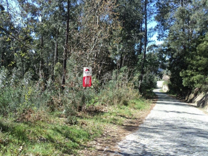 Terreno para Venda em Sande e São Lourenço Foto 2