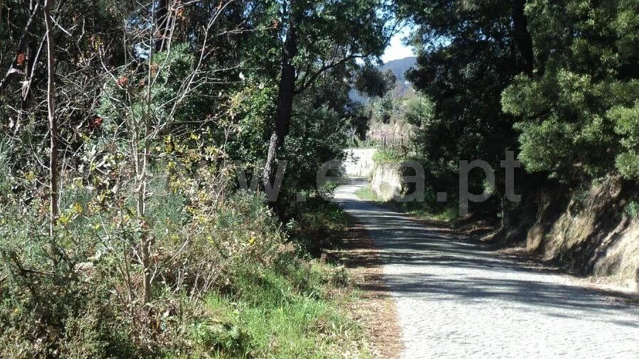 Terreno para Venda em Sande e São Lourenço