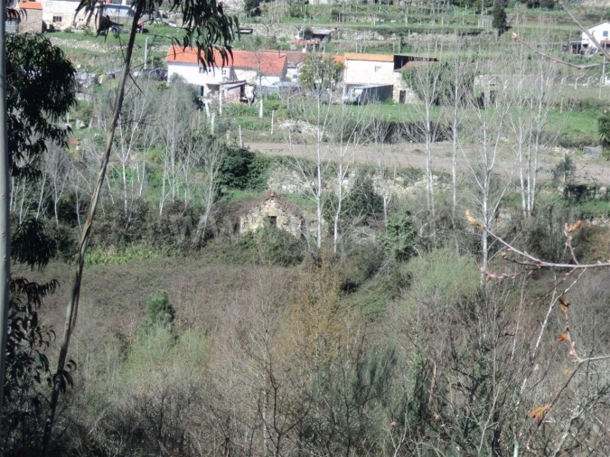 Terreno para Venda em Sande e São Lourenço Foto 1