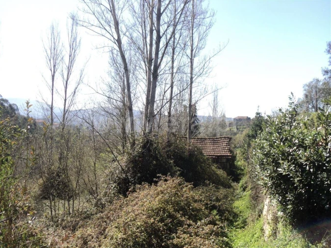 Terreno para Venda em Sande e São Lourenço Foto 3