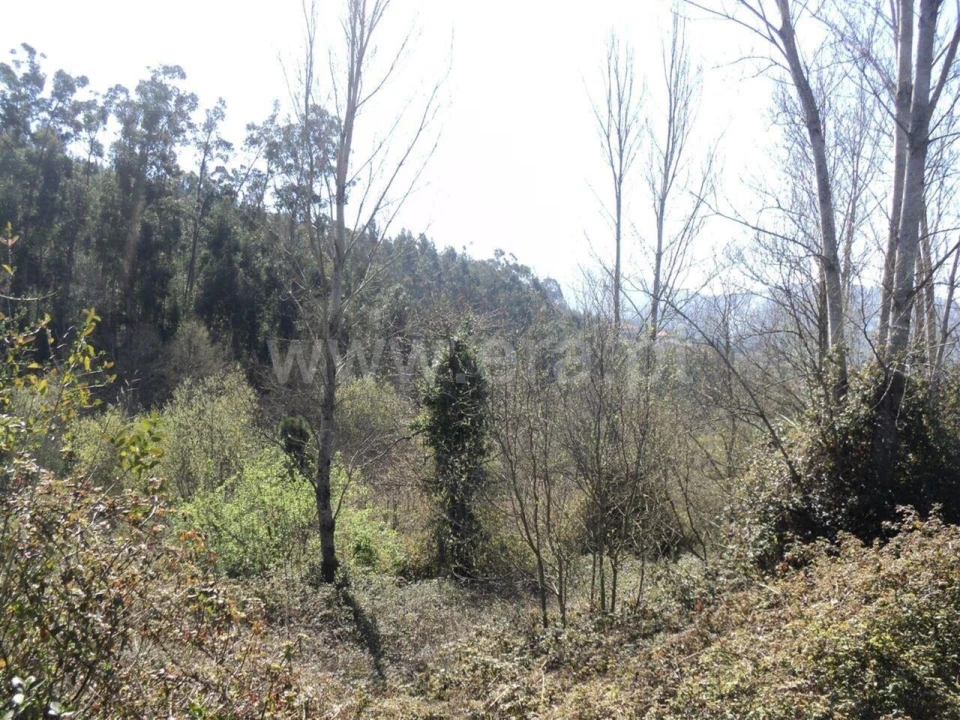 Terreno para Venda em Sande e São Lourenço Foto 4