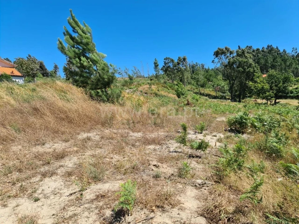 Quinta T0 para Venda em Penhalonga e Paços de Gaiolo Foto 3