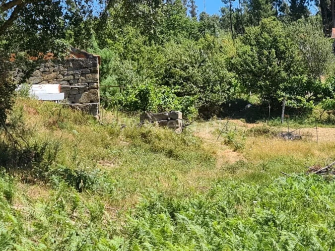 Quinta T0 para Venda em Penhalonga e Paços de Gaiolo Foto 8