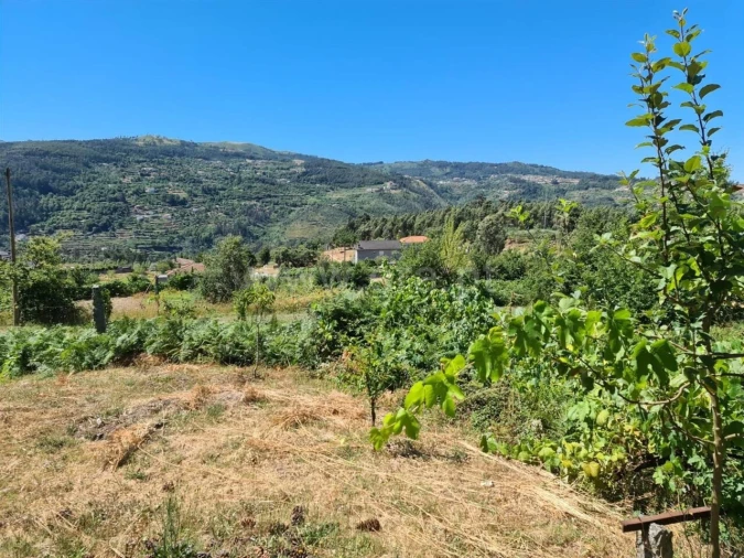 Quinta T0 para Venda em Penhalonga e Paços de Gaiolo Foto 9