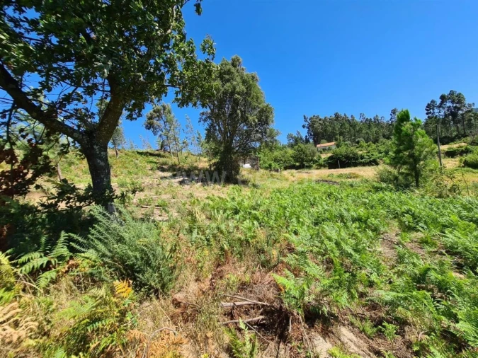 Quinta T0 para Venda em Penhalonga e Paços de Gaiolo Foto 6