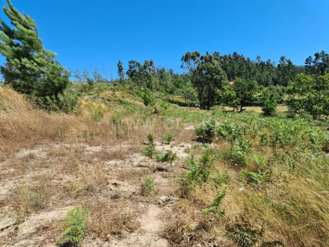 Quinta T0 para Venda em Penhalonga e Paços de Gaiolo Foto 4