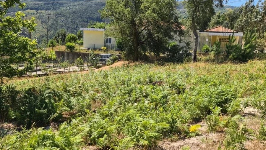 Quinta T0 para Venda em Penhalonga e Paços de Gaiolo