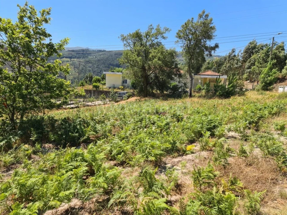 Quinta T0 para Venda em Penhalonga e Paços de Gaiolo Foto 2