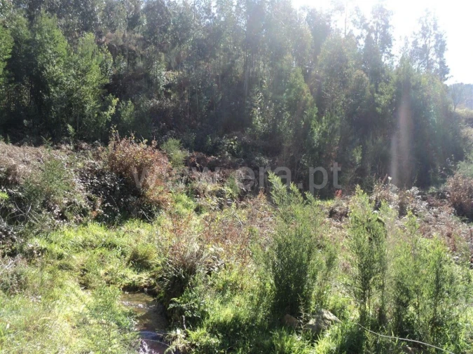 Terreno para Venda em Sande e São Lourenço Foto 5
