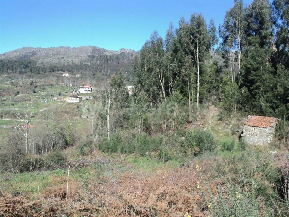 Terreno para Venda em Sande e São Lourenço Foto 1