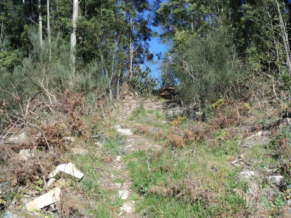 Terreno para Venda em Sande e São Lourenço Foto 3
