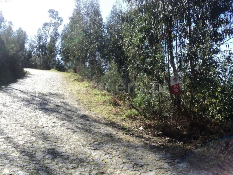 Terreno para Venda em Sande e São Lourenço Foto 2
