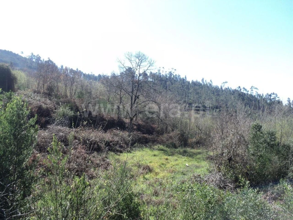 Terreno para Venda em Sande e São Lourenço Foto 4