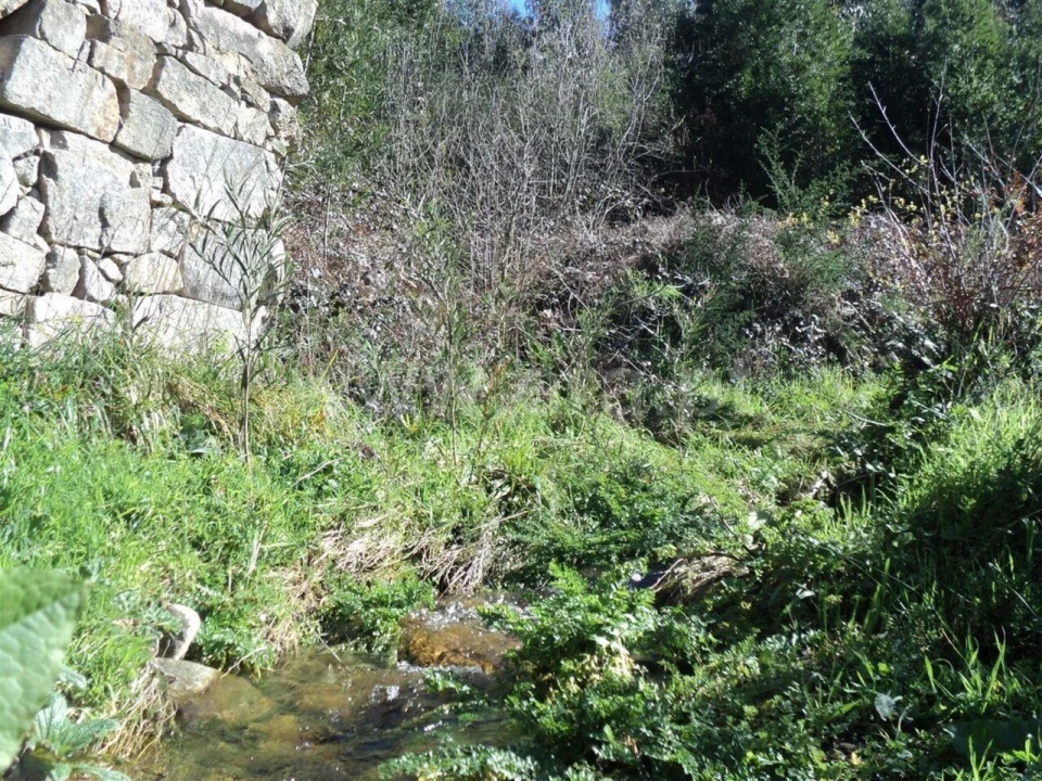 Terreno para Venda em Sande e São Lourenço Foto 6
