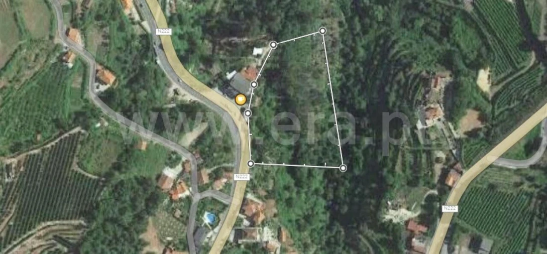 Terreno para Venda em Santiago de Piães Foto 9