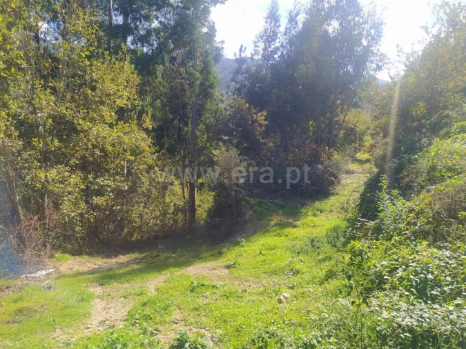 Terreno para Venda em Santiago de Piães Foto 7