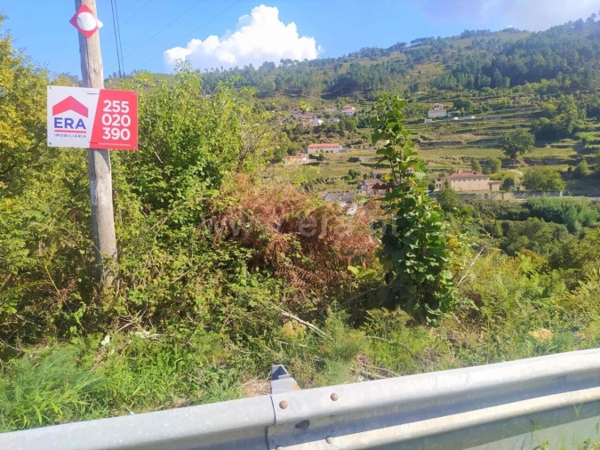 Terreno para Venda em Santiago de Piães
