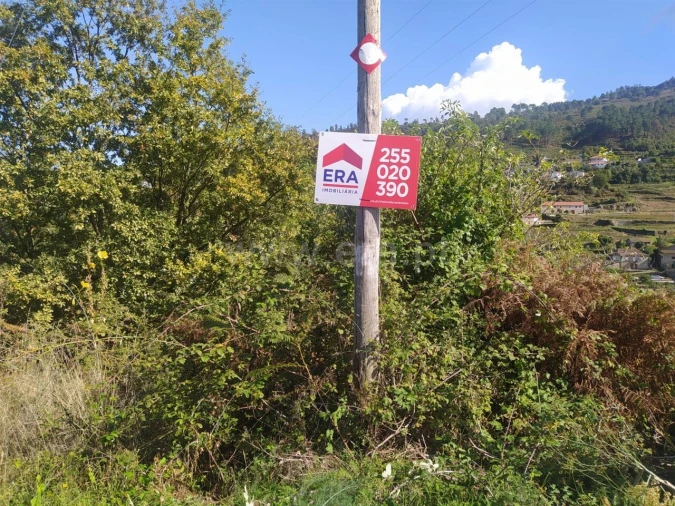 Terreno para Venda em Santiago de Piães Foto 8