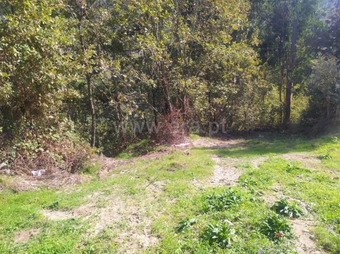 Terreno para Venda em Santiago de Piães Foto 4