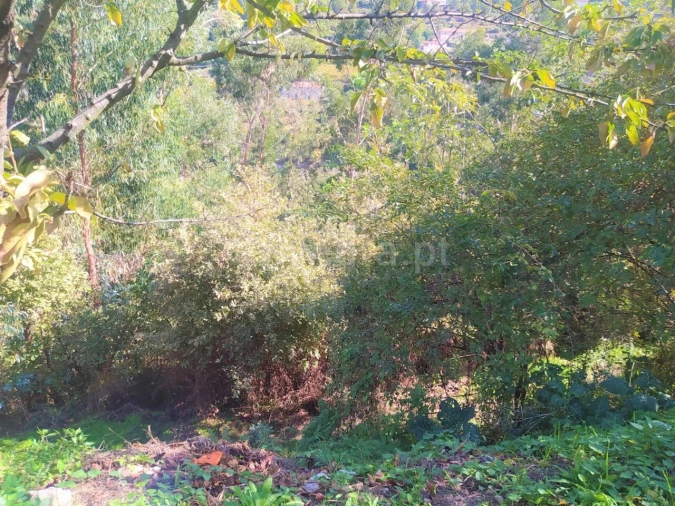 Terreno para Venda em Santiago de Piães Foto 3