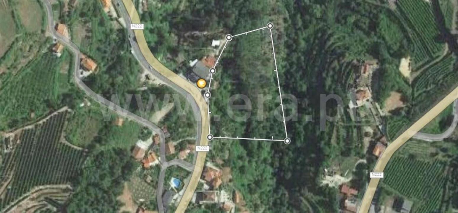 Terreno para Venda em Santiago de Piães Foto 9