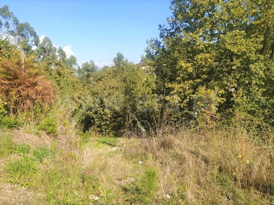 Terreno para Venda em Santiago de Piães Foto 2