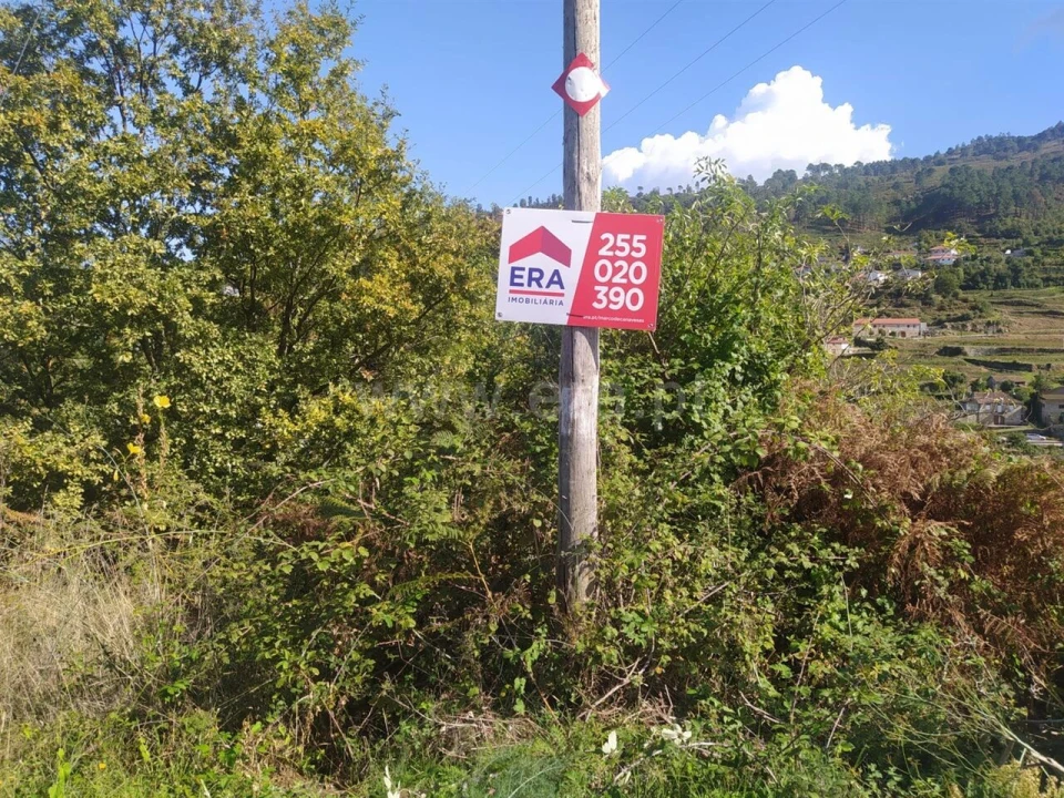 Terreno para Venda em Santiago de Piães Foto 8