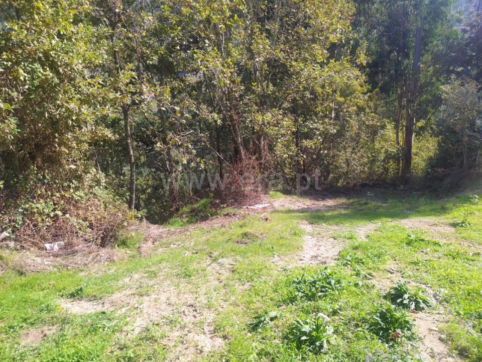 Terreno para Venda em Santiago de Piães Foto 4
