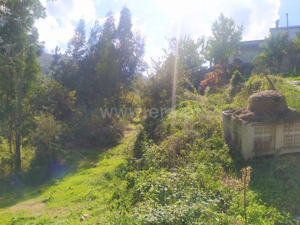 Terreno para Venda em Santiago de Piães Foto 5