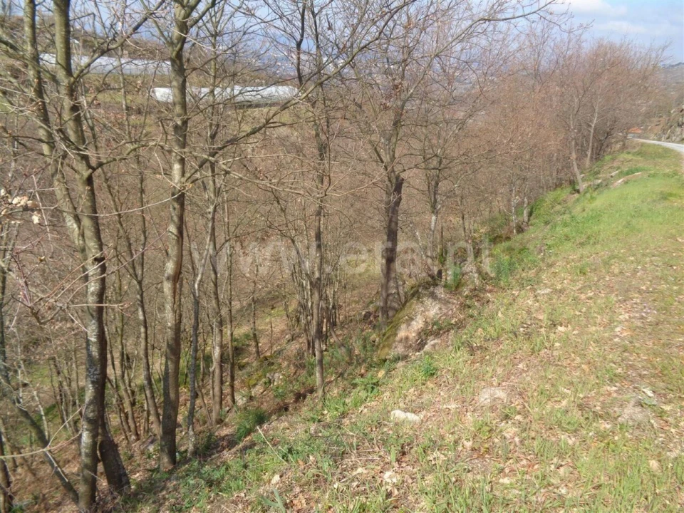 Terreno para Venda em Soalhães Foto 3