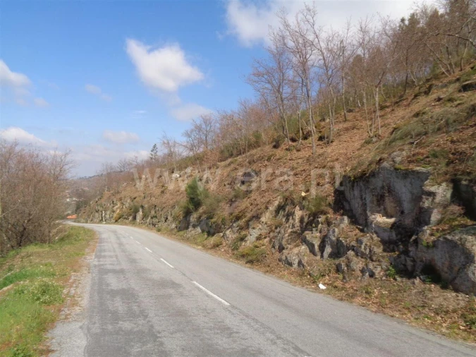 Terreno para Venda em Soalhães Foto 5